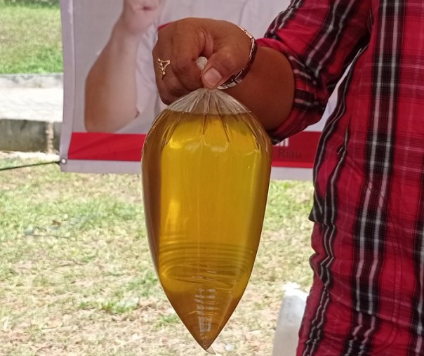 Harga minyak goreng curah plastik perlahan naik di Pekanbaru. Foto: Surya/Riau1.