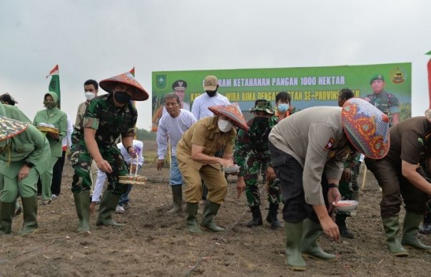 saat forkopimda Riau menanam bibit jagung