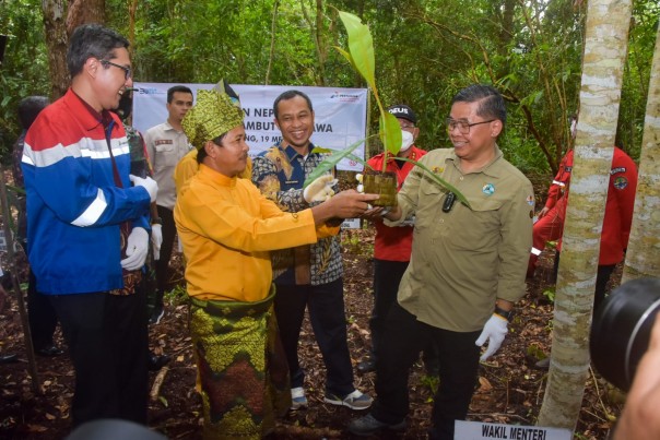 Saat kunjungan Wamen LHK
