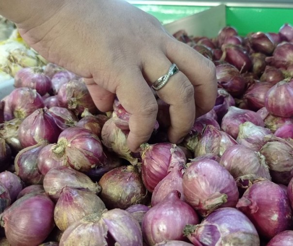 Bawang merah. Foto: Surya/Riau1.