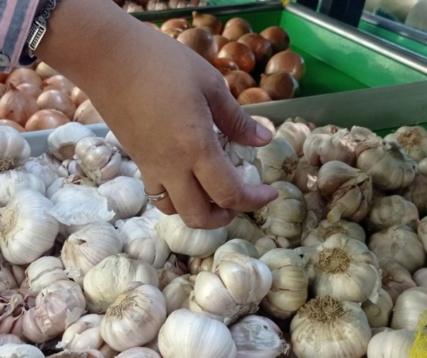 Bawang putih. Foto: Surya/Riau1.