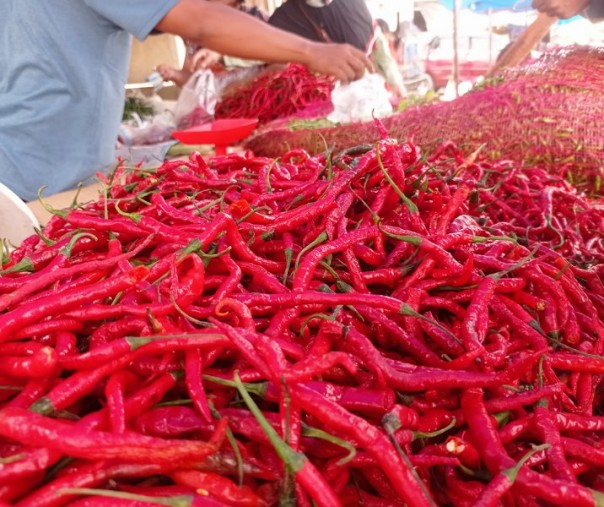 Pedagang cabai merah di Pasar Kodim Pekanbaru. Foto: Surya/Riau1.