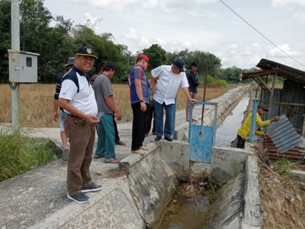 Pj Bupati Kampar tinjau irigasi sawah