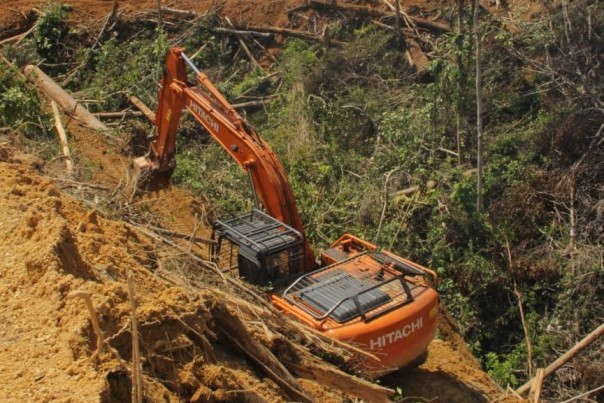 Terkait Kasus Perambahan Hutan di Inhu, DPW LPLHI - KLHI Akan Bertemu Komisi II DPRD Riau