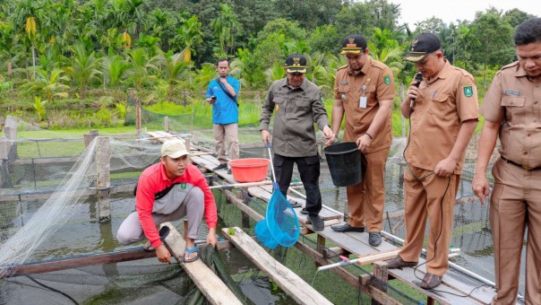 Panen Ikan Program Desa BERMASA