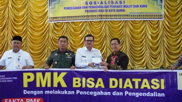 Sosialisasi PMK di Dumai