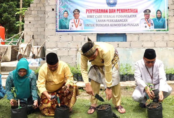 Gerakan tanam cabai di Kepri