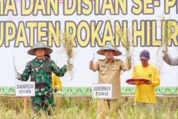 Panen Raya di Rokan Hilir