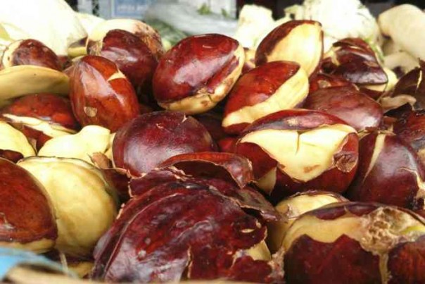 Jengkol